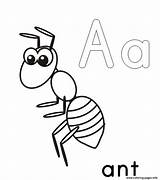 Ant Coloring Pages Printable Alphabet Kids Template Color Drawing Print Ants Cartoon Preschool Book Grasshopper Getdrawings Anthill Clipartmag Queen Coloringbay sketch template