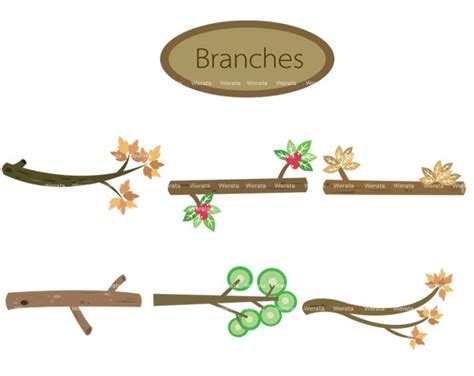 tree branch clip art   clip art images clipartlook