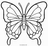 Butterfly sketch template