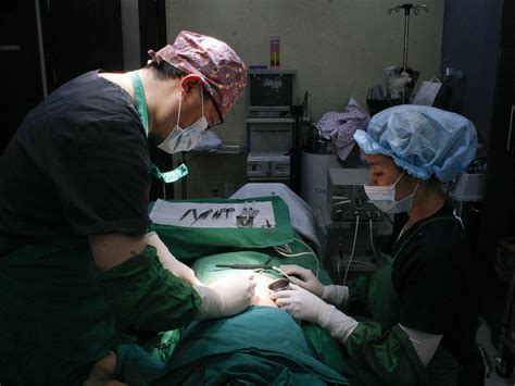 how s korea s plastic surgeons are helping scarred n