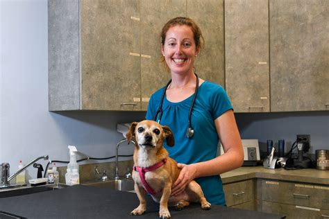 veterinarian takes  patients barksdale air force base news