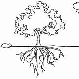 Roots Tree Clipart Drawing Outline Coloring Root Soil Oak Drawings Plant Udl Sketch Hs Science Clipground Pl Trees 98kb 300px sketch template
