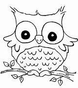 Coloring Owl Preschool Pages Comments sketch template