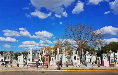 How To Visit Merida S Cementerio General Main Cemetery