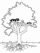 Tree Coloring Roots Pages Ume Colouring Trees Kids Stands Drawing Seen 17kb Detail Getdrawings Kleurplaten sketch template
