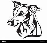 Greyhound Decorative sketch template