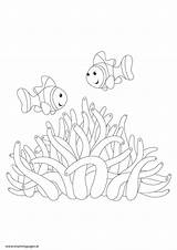 Nemo Anemone Mummypages Underneath Screen sketch template