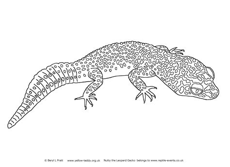 reptiles coloring pages learny kids