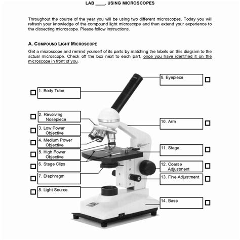 labeling  microscope worksheet