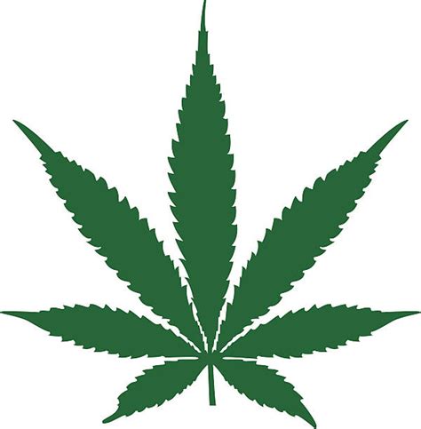 marijuana leaf illustrations royalty  vector graphics clip