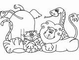 Coloring Pages Wild Animals Animal Zoo Kids sketch template