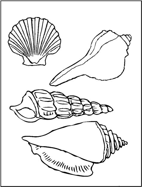 printable seashell coloring pages  kids coloring pages