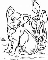 Kleurplaten Honden Dieren Huisdieren Hond Tekeningen Tekenen Kat Kleuren Katten Afkomstig sketch template