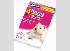 Johnsons Flea Tablets Treatment for Small Dogs Puppies