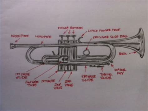 draw  trumpet feltmagnet