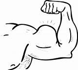 Arm Muscle Muscles Strong Clipart Arms Clip Cartoon Drawing Coloring Cliparts Flexing Big Muscular Google Body Human Samson Pages Clipground sketch template