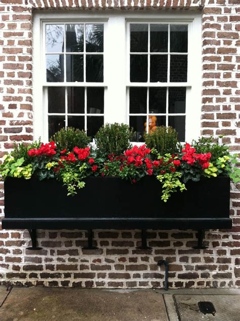 window box planter ideas  brighten   home     fensterbox blumen