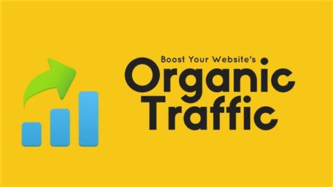 Top 15 Organic Traffic Là Gì Cẩm Nang Tiếng Anh