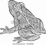 Zentangle Frog sketch template