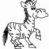 Zebra Coloring Madagascar Marty Spikey Hair Little sketch template
