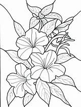 Advanced Flower Coloring Pages Getcolorings Printable Cute Getdrawings sketch template
