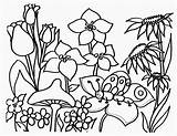 Imagenes Flores sketch template