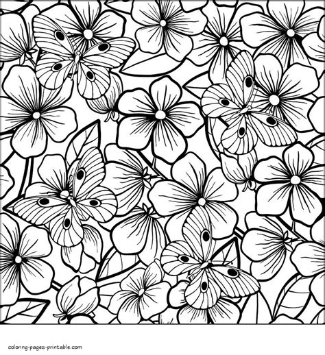 coloring page flowers  butterflies  amazing svg file