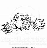 Bowling Paw Ball Mascot Slashing Aggressive Vicious Bear Illustration Vector Through Wall Atstockillustration Buy sketch template