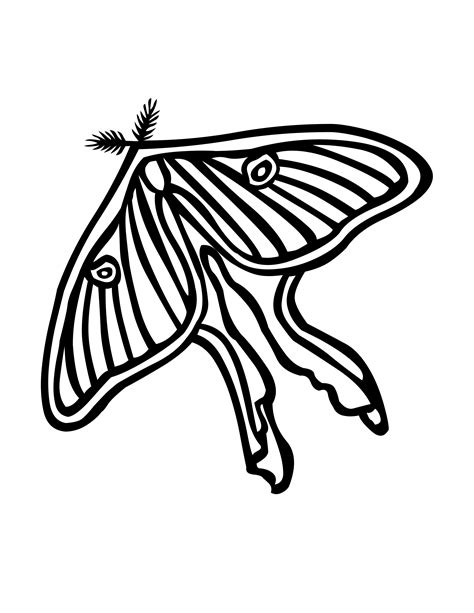butterfly  kids printable coloring pages png  file