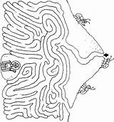Ant Maze Ants Queen Choose Board sketch template