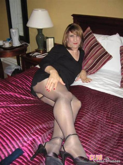 crossdressers and shemales dressed in sexy stockings show their cute dicks