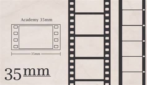 everything you never knew you wanted to know about film