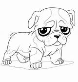 Coloring Pages Cute Puppy Baby Bulldog Print Drawing Dog Sad Puppies Printable Animals Dogs Pomeranian Animal Clipart Color Kids Chubby sketch template