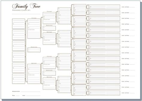 generation pedigree chart white templates family tree chart