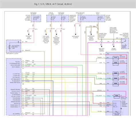 diagram le transmission plug diagram mydiagramonline