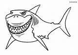 Shark Coloring Pages Printable Sharks Animals Zoo Great Painting Sheets sketch template