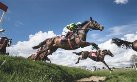 win     irish jump racing festival  punchestown racecourse