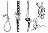Rope Corda Noose Knot Tali เช อก เ วก เต อร Nó Vetorizada sketch template