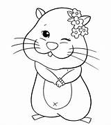 Hamster Momjunction Pets sketch template