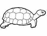 Turtle Template Coloring Printable Pages Templates Colouring Lined Sliding Dark sketch template