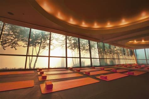 ultimate guide  designing  stunning yoga studio  yoga nomads