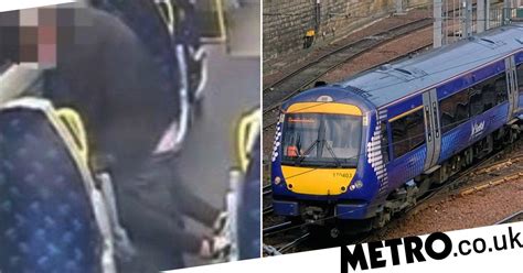 Police Hunt For Couple Who Kept Having Sex On Train Metro News
