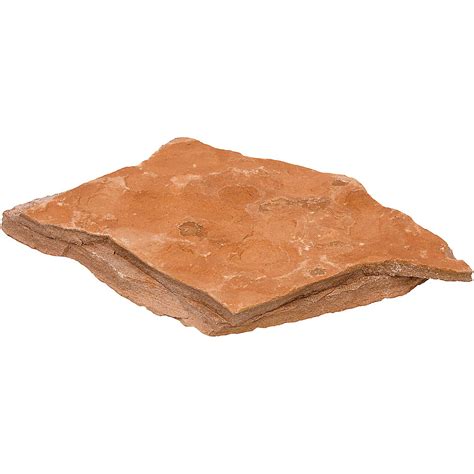 north american pet red shale rock petco