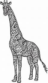 Giraffe Coloring Adult Clipart Baby Webstockreview Printable Hiphomeschoolmoms sketch template