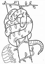 Coloring Pages Snake Boa Lives Trees Animals Constrictor Coloringbay Cobra Books Choose Board sketch template