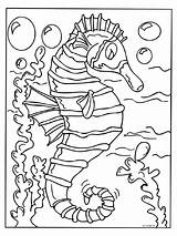 Zeepaardje Vis Paard sketch template