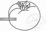 Tomato Printable Vegetable sketch template