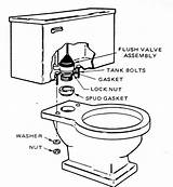 Flush Toilets Flushed sketch template
