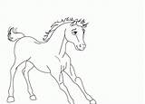 Spirit Coloring Pages Stallion Cimarron Riding Drawing Horse Foal Rain Printable Sheets Colorings Lineart Fancy Getcolorings Getdrawings Bambi Library Popular sketch template