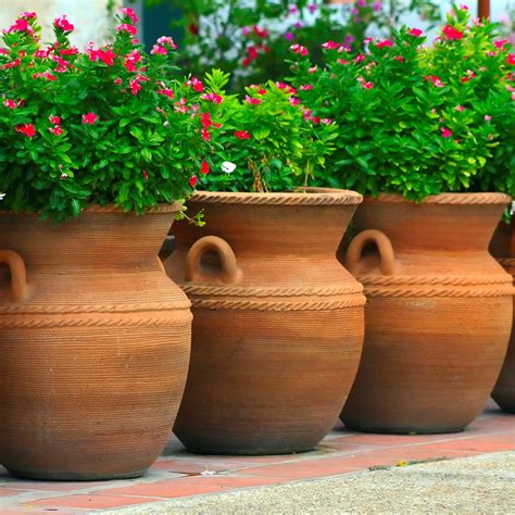 outdoor large flower pots